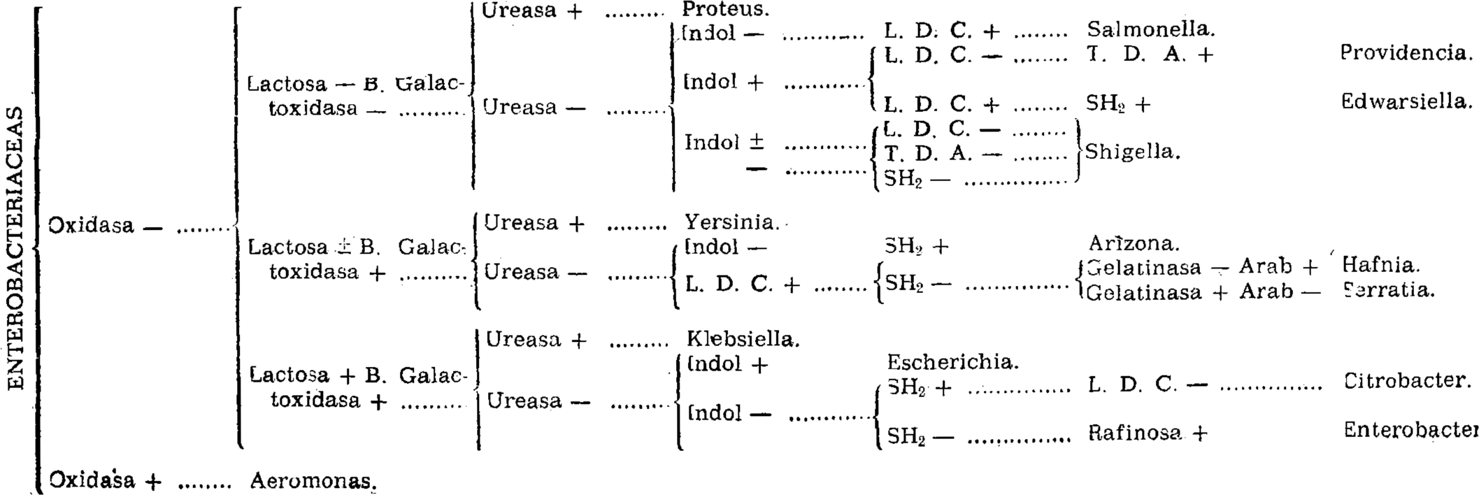 Imagen: /datos/imagenes/disp/1975/76/06408_8621040_image1.png