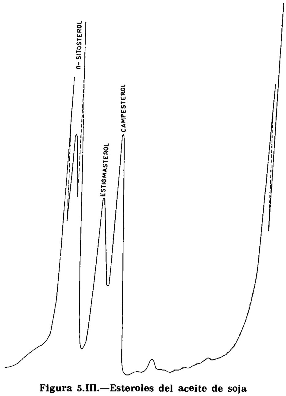 Imagen: /datos/imagenes/disp/1977/167/16116_5444996_image6.png