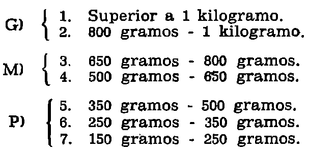 Imagen: /datos/imagenes/disp/1979/286/28398_11089371_image1.png