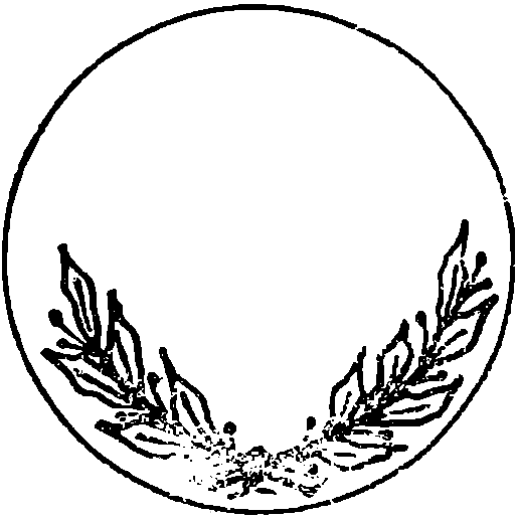 Imagen: /datos/imagenes/disp/1981/233/21911_16380562_image2.png