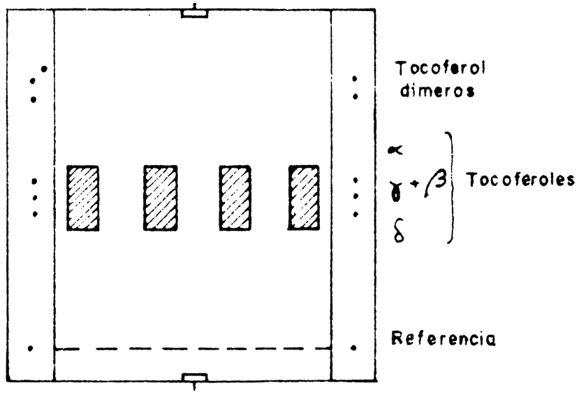 Imagen: /datos/imagenes/disp/1985/274/23450_5337290_image6.png