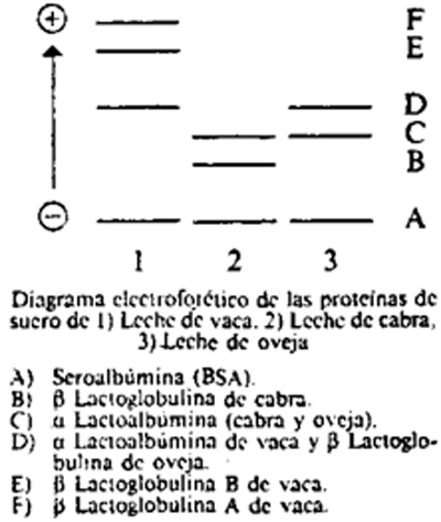 Imagen: /datos/imagenes/disp/1991/260/26241_002.png