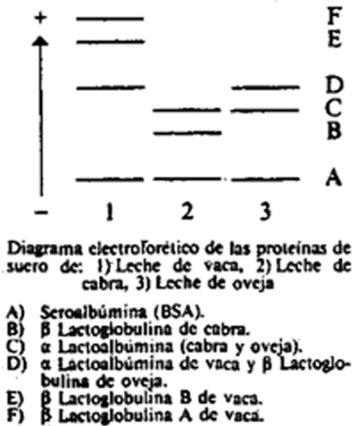 Imagen: /datos/imagenes/disp/1991/260/26241_010.png