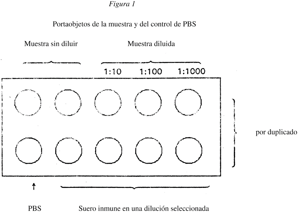 Imagen: /datos/imagenes/disp/1994/81/07591_5402802_image2.png