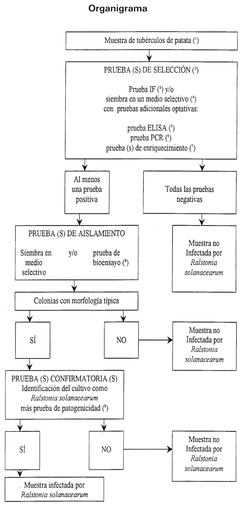 Imagen: /datos/imagenes/disp/1999/265/21483_5276768_image3.png