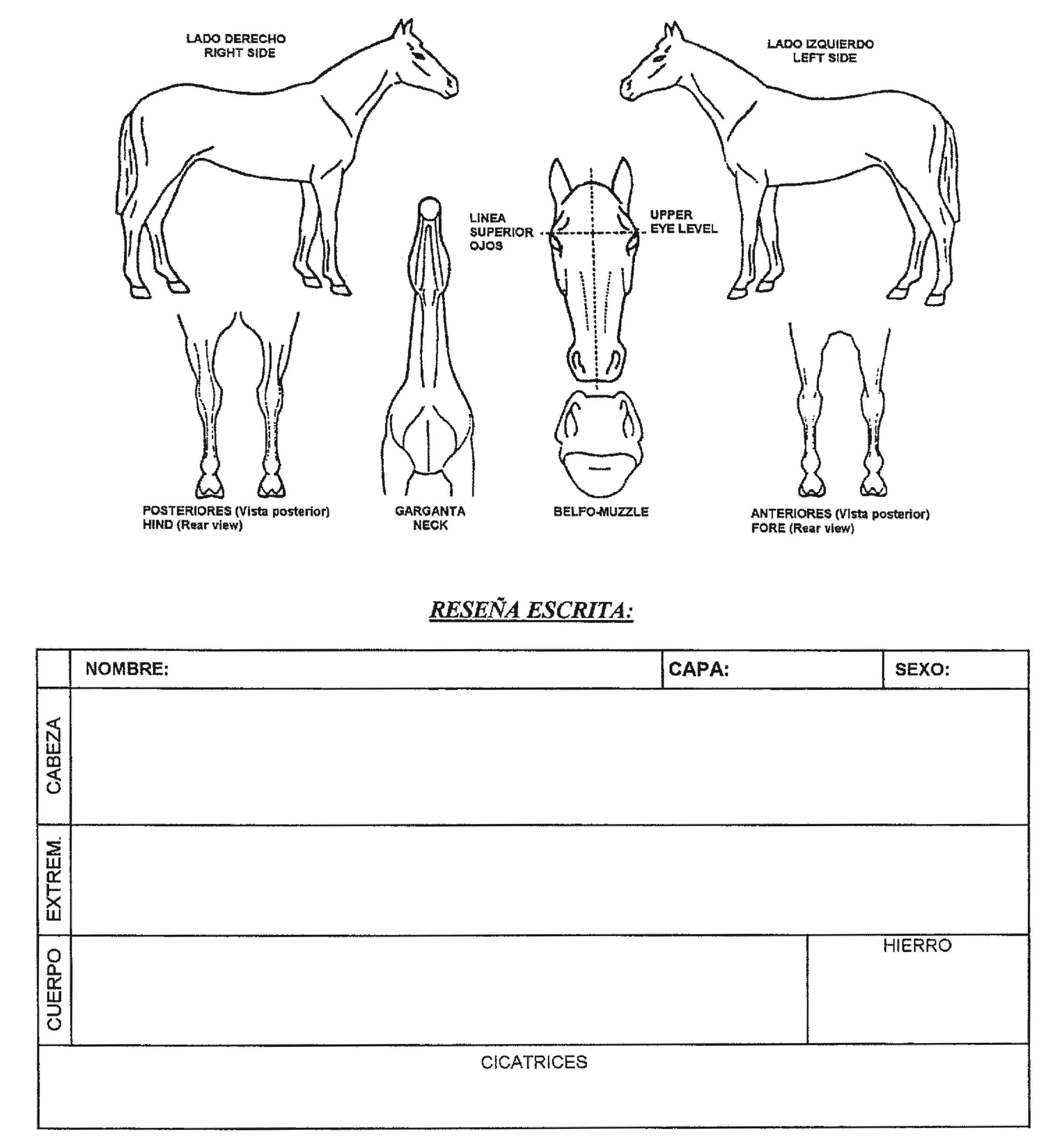 Imagen: /datos/imagenes/disp/2003/111/09480_8874094_image18.png