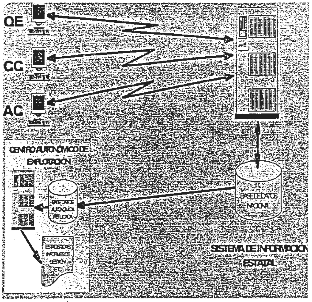 Imagen: /datos/imagenes/disp/2003/90/07822_13502517_image1.png