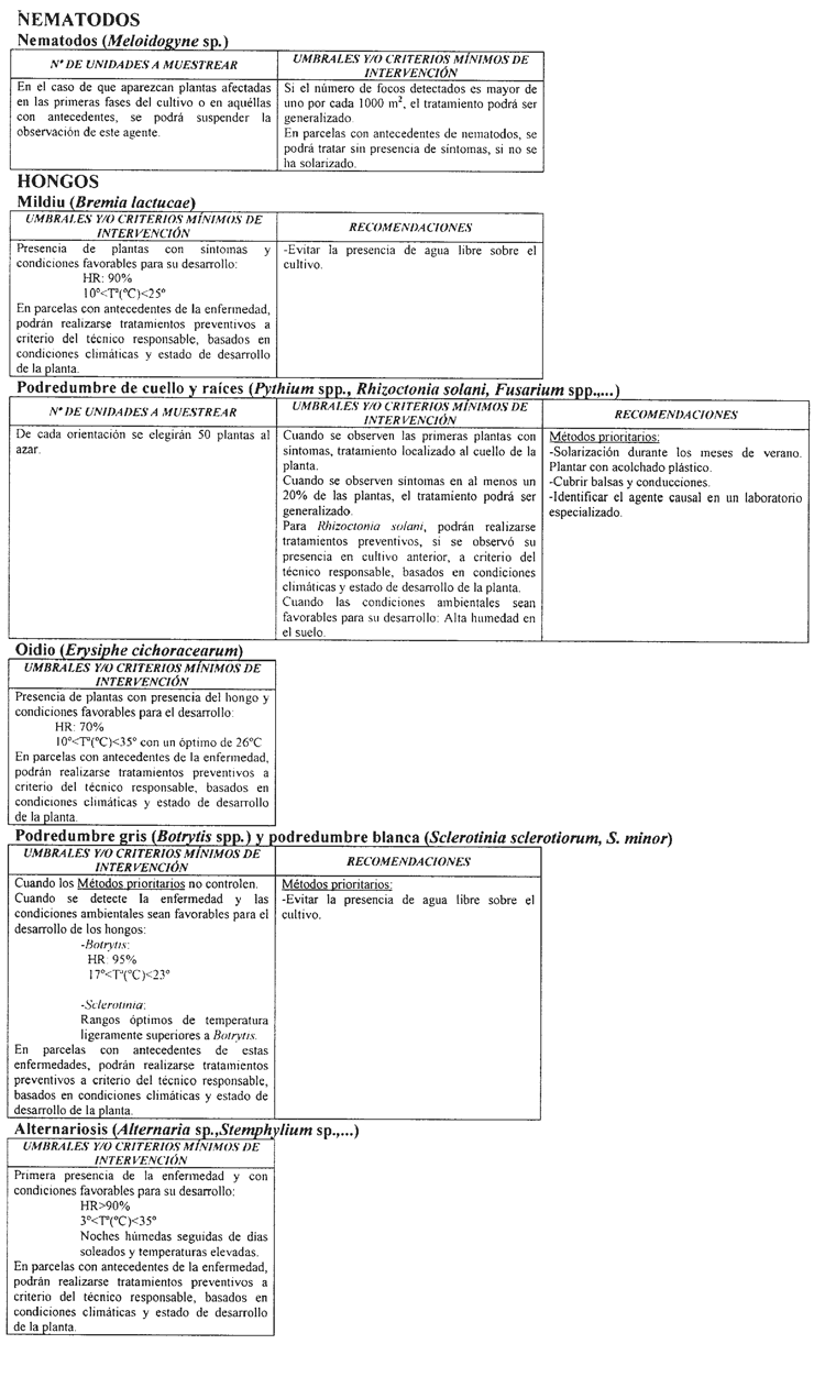 Imagen: /datos/imagenes/disp/2004/43/03066_044.png