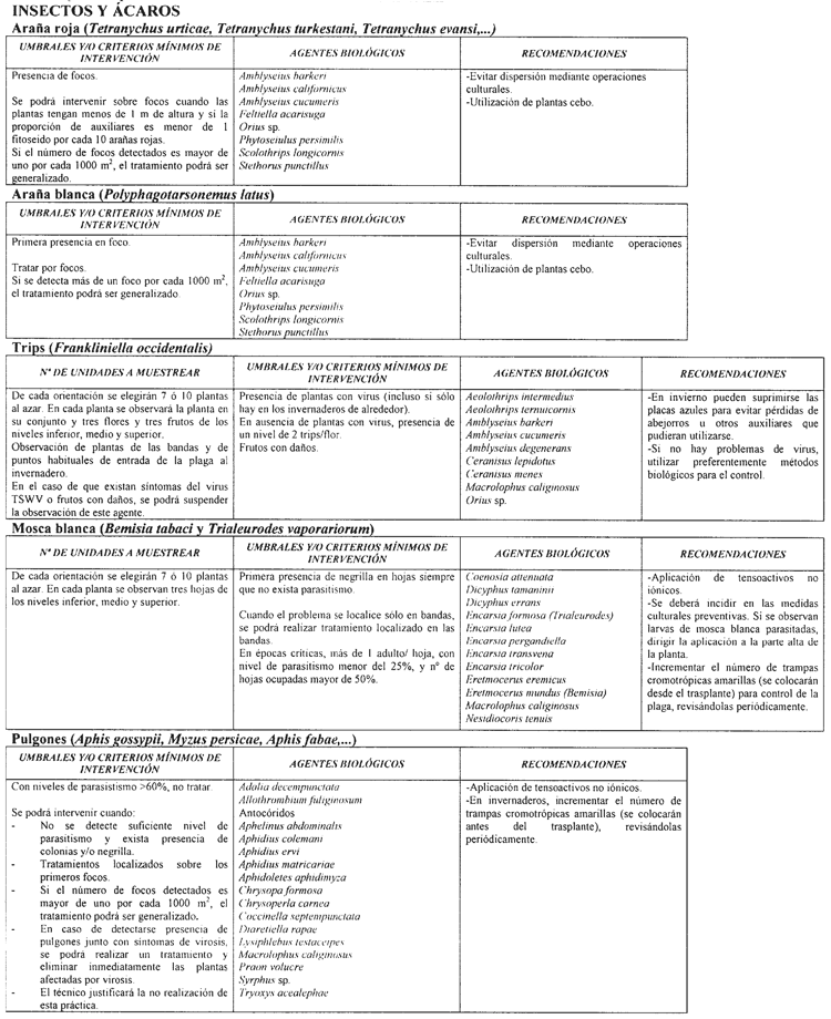 Imagen: /datos/imagenes/disp/2004/43/03066_052.png