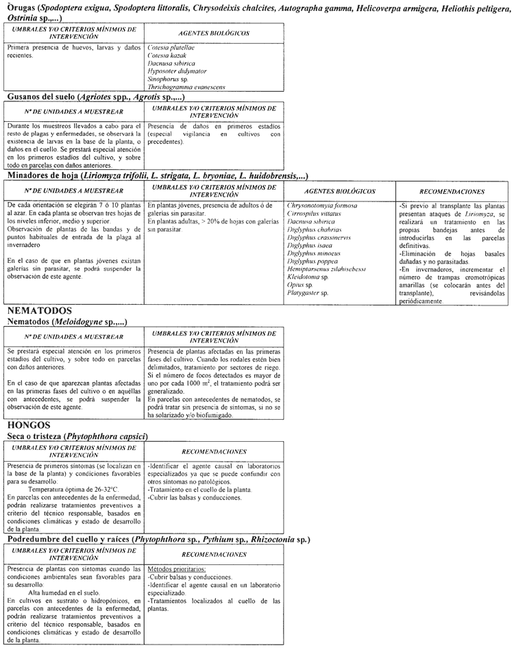 Imagen: /datos/imagenes/disp/2004/43/03066_053.png