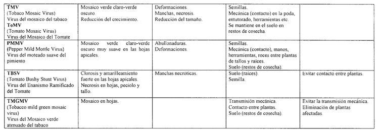 Imagen: /datos/imagenes/disp/2004/43/03066_055.png