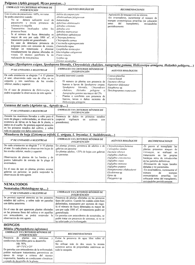 Imagen: /datos/imagenes/disp/2004/43/03066_057.png