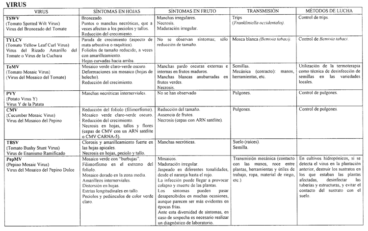 Imagen: /datos/imagenes/disp/2004/43/03066_059.png