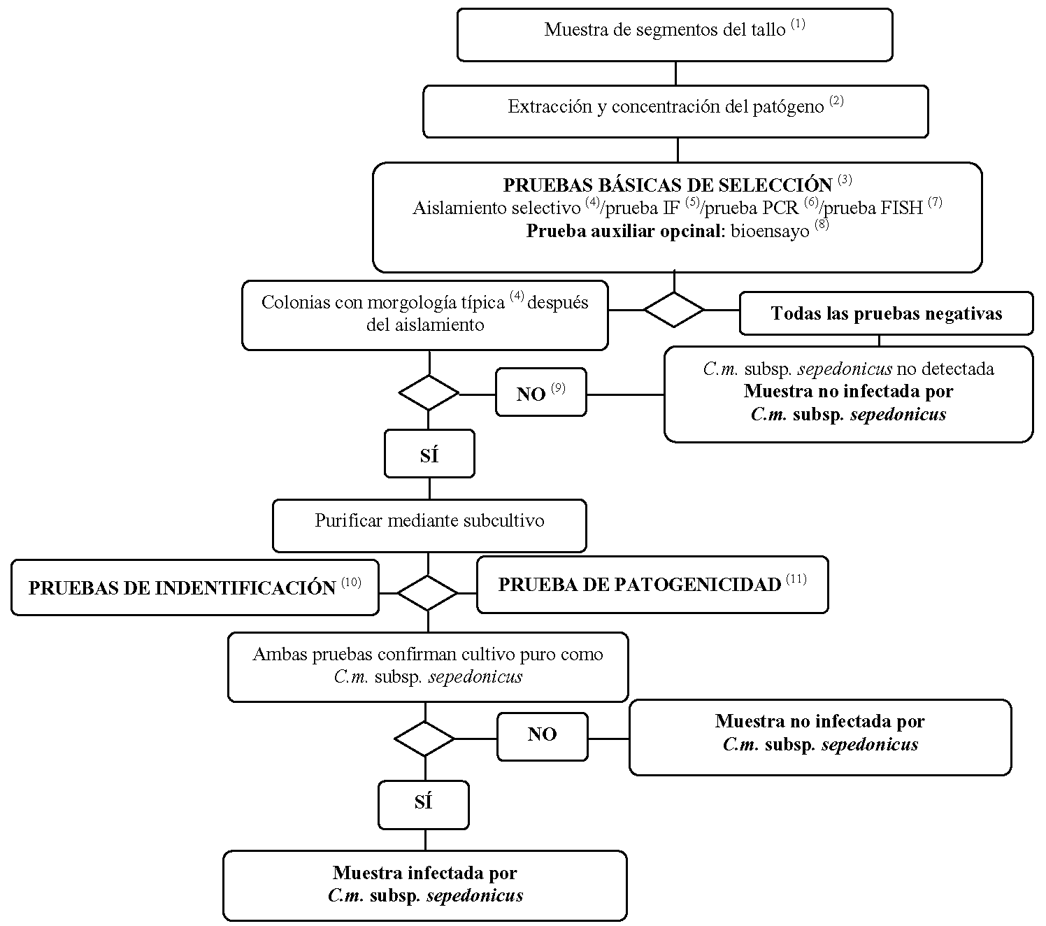 Imagen: /datos/imagenes/disp/2007/74/06421_5386692_image3.png