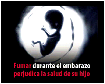 Imagen: /datos/imagenes/disp/2010/128/08388_011.png