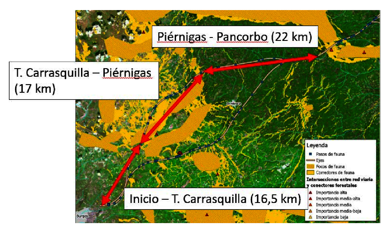 Imagen: /datos/imagenes/disp/2021/148/10400_9735820_1.png