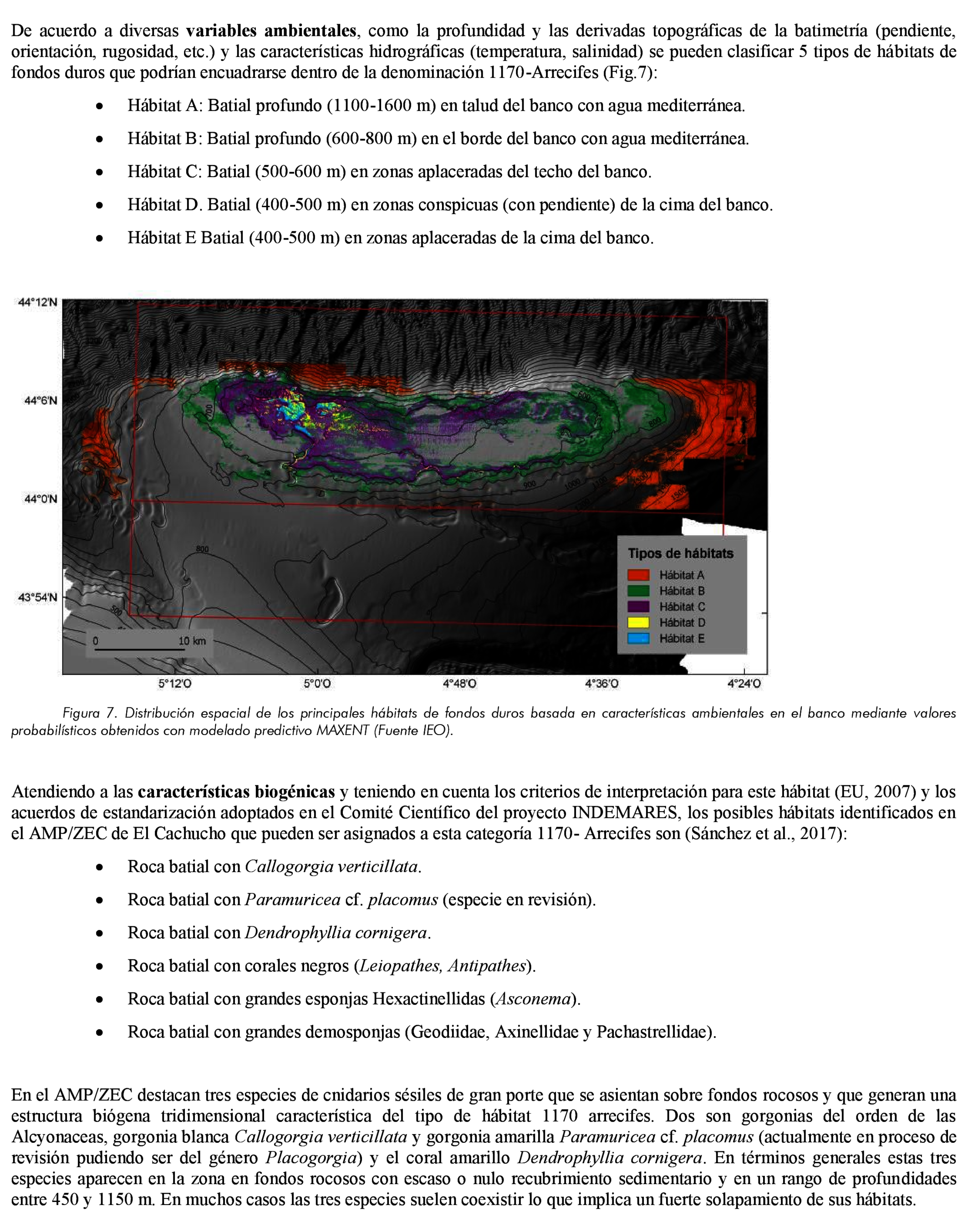 Imagen: /datos/imagenes/disp/2021/185/13264_10132690_10.png