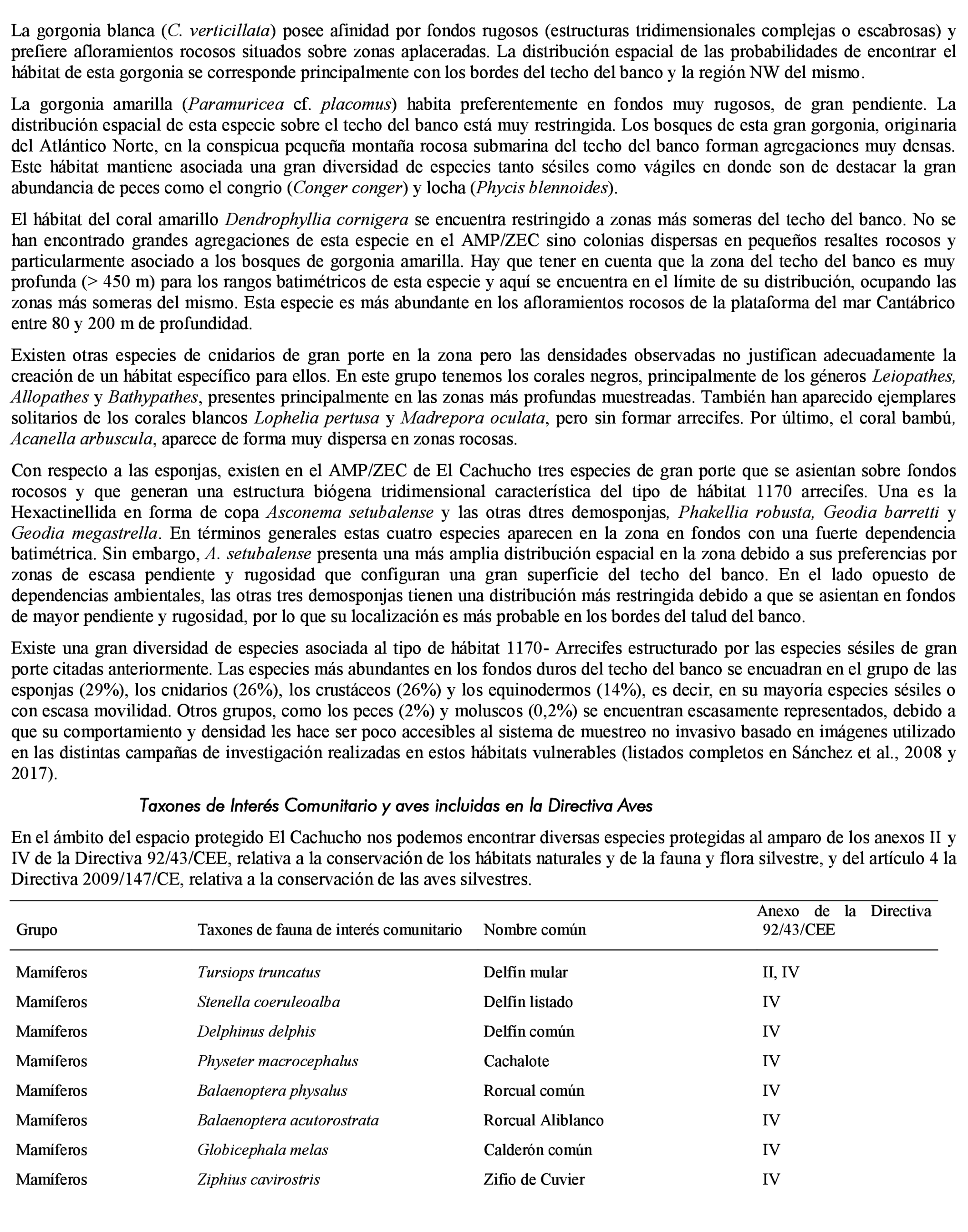 Imagen: /datos/imagenes/disp/2021/185/13264_10132690_11.png