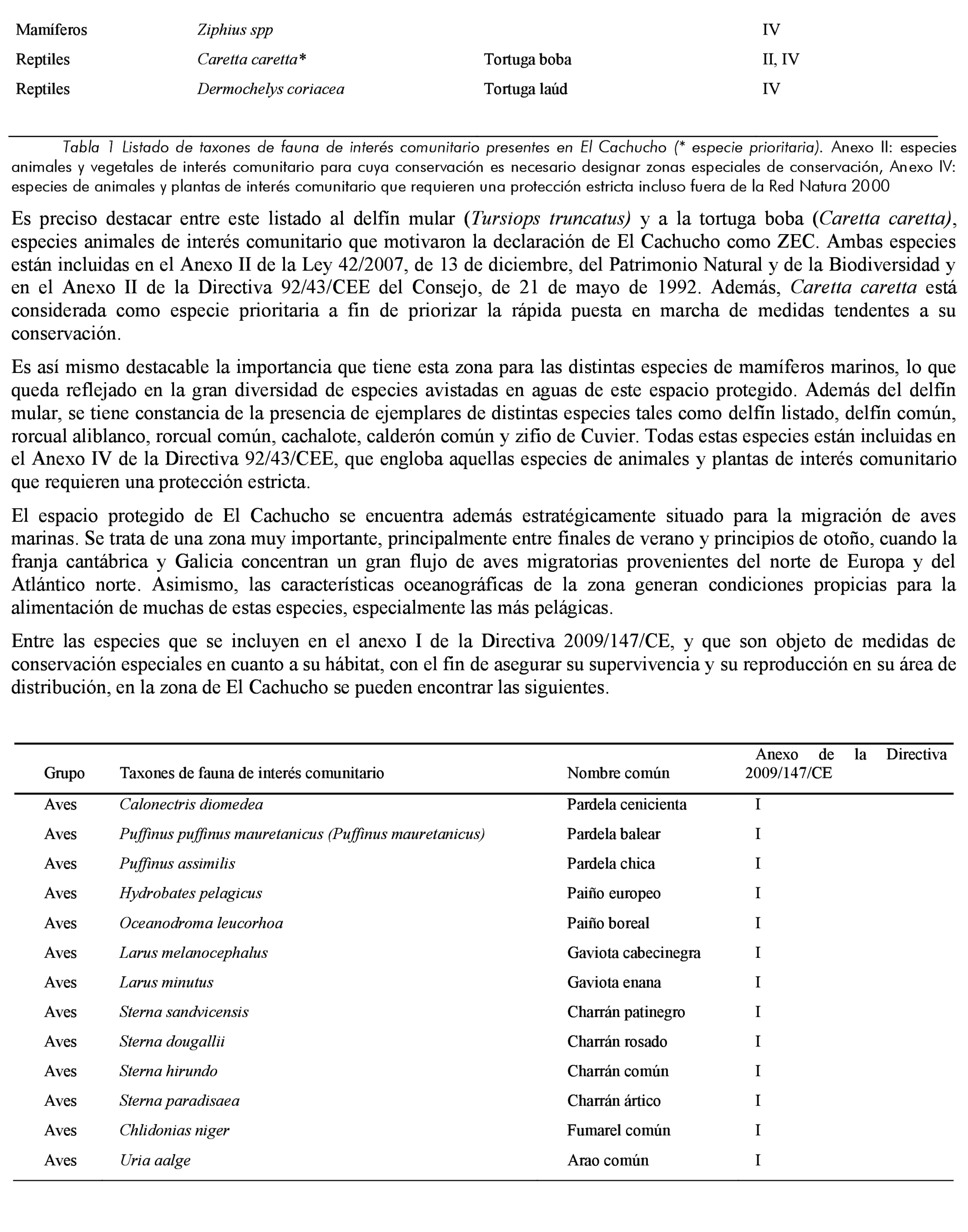 Imagen: /datos/imagenes/disp/2021/185/13264_10132690_12.png