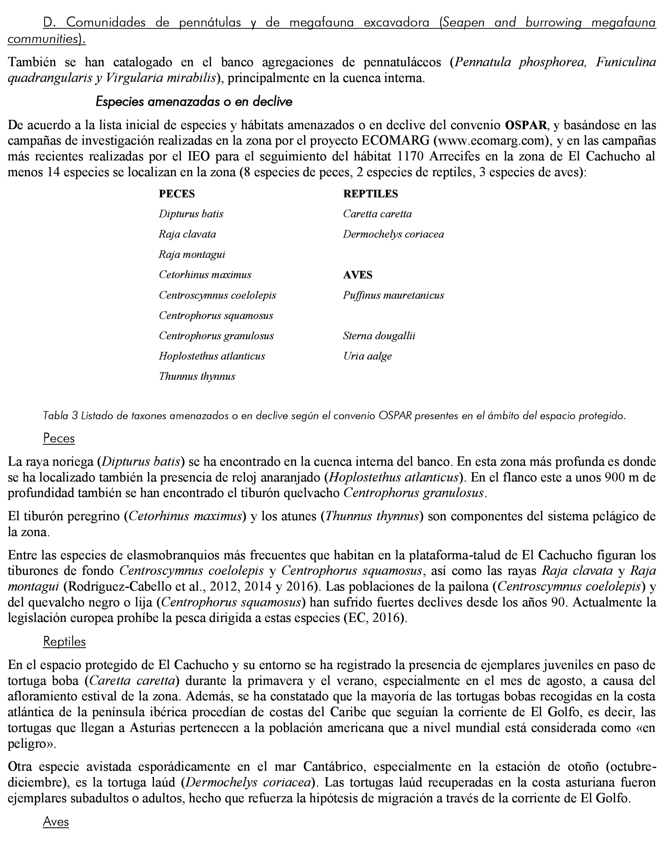 Imagen: /datos/imagenes/disp/2021/185/13264_10132690_15.png