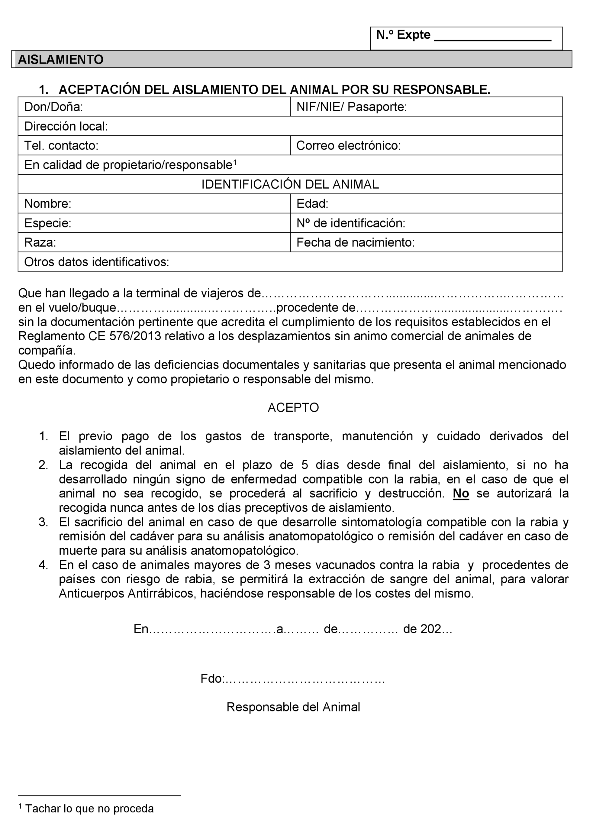 Imagen: /datos/imagenes/disp/2021/260/17683_10533786_1.png