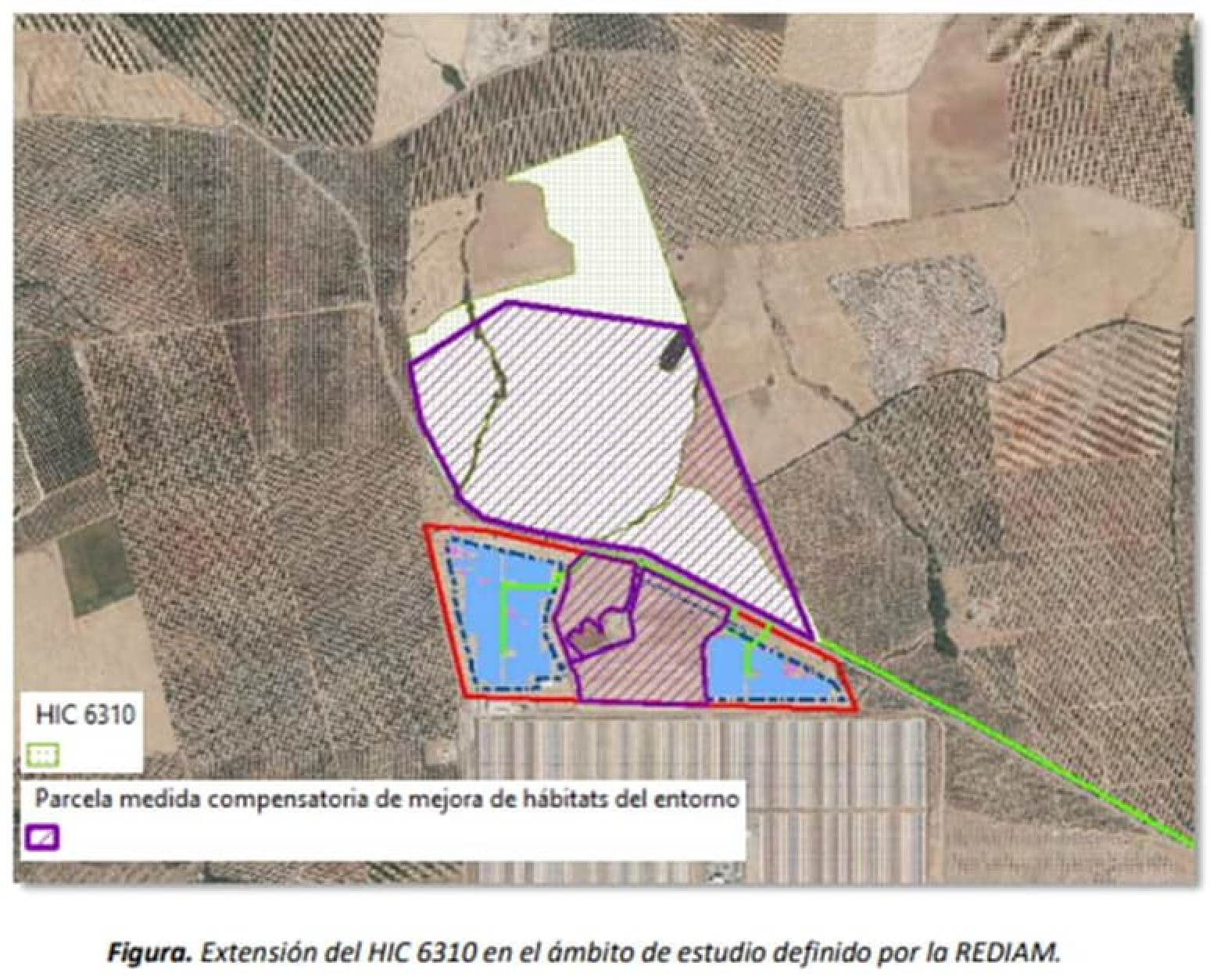 Imagen: /datos/imagenes/disp/2022/264/18089_12335322_1.png