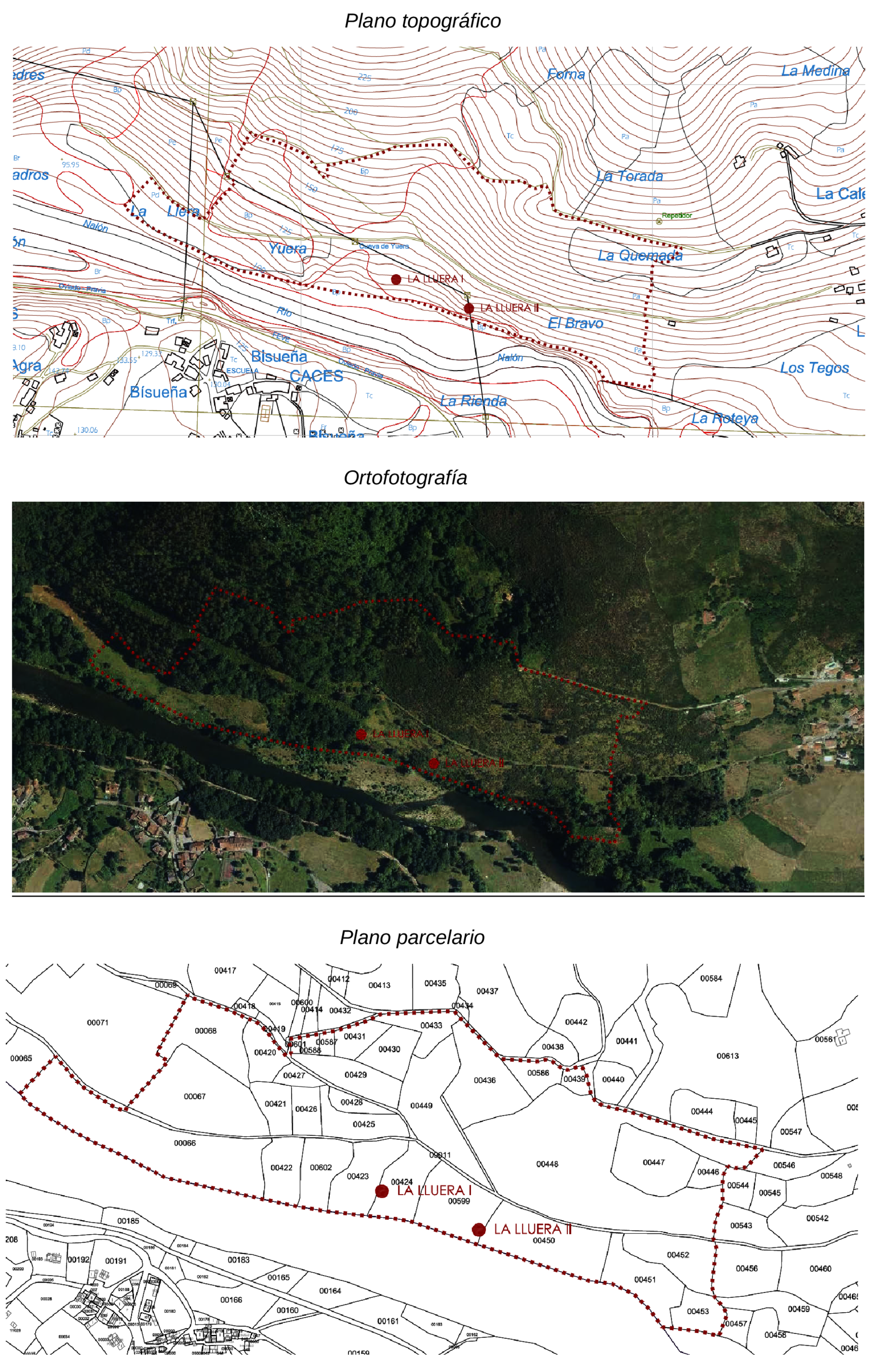 Imagen: /datos/imagenes/disp/2022/31/1888_11076205_1.png
