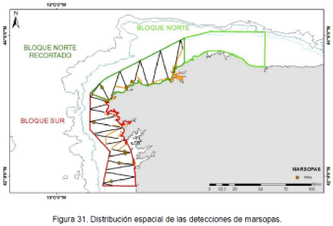 Imagen: /datos/imagenes/disp/2022/75/4961_11331040_1.png