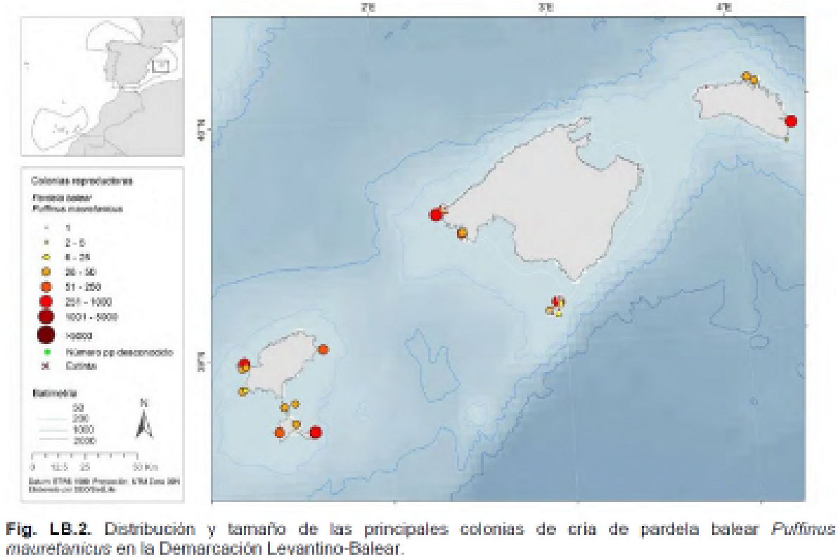 Imagen: /datos/imagenes/disp/2022/75/4961_11335837_1.png