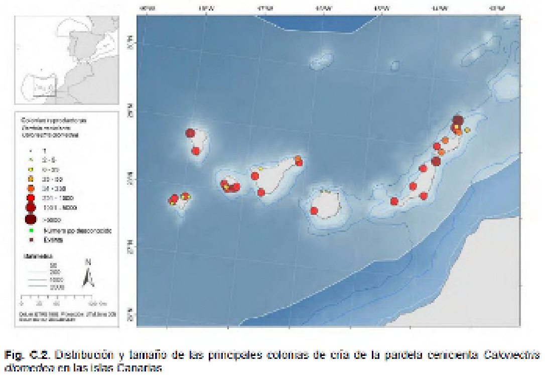 Imagen: /datos/imagenes/disp/2022/75/4961_11335886_1.png