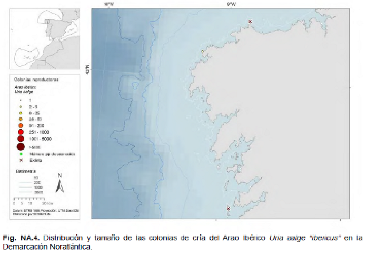 Imagen: /datos/imagenes/disp/2022/75/4961_11336493_1.png