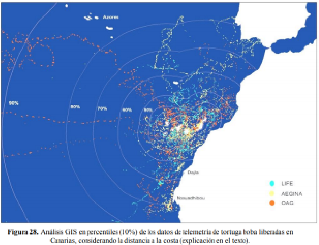 Imagen: /datos/imagenes/disp/2022/75/4961_11336583_1.png