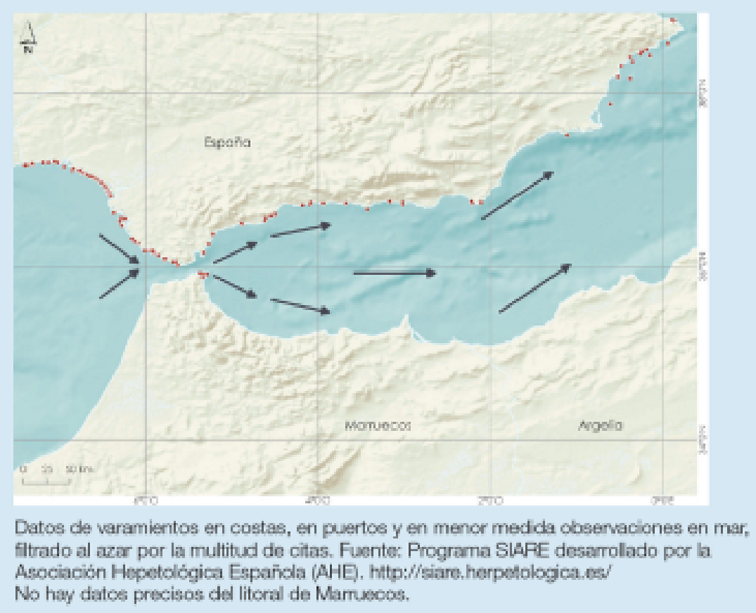 Imagen: /datos/imagenes/disp/2022/75/4961_11336585_1.png