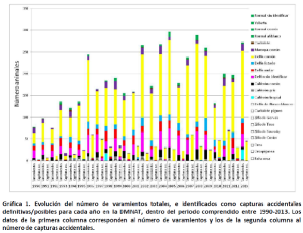 Imagen: /datos/imagenes/disp/2022/75/4961_11337193_1.png