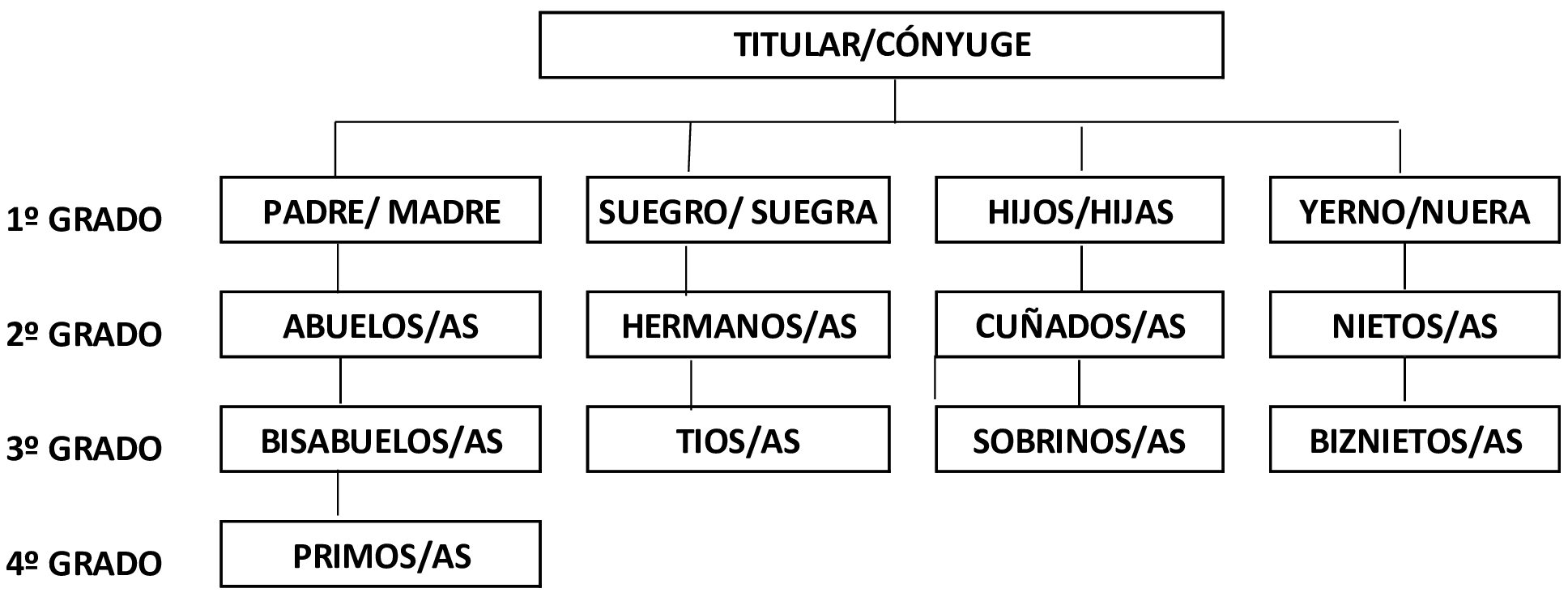 Imagen: /datos/imagenes/disp/2025/118/9698_15662564_1.png