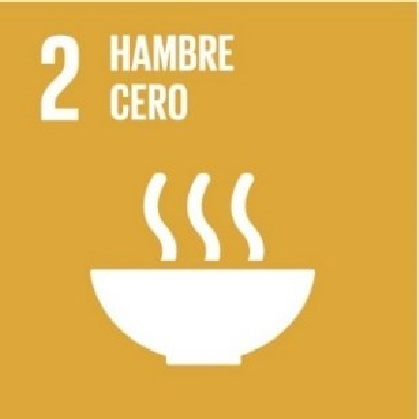 Imagen: /datos/imagenes/disp/2025/147/12417_15800047_2.png