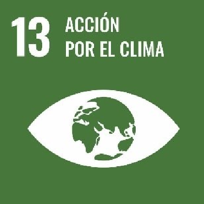 Imagen: /datos/imagenes/disp/2025/147/12417_15800047_7.png