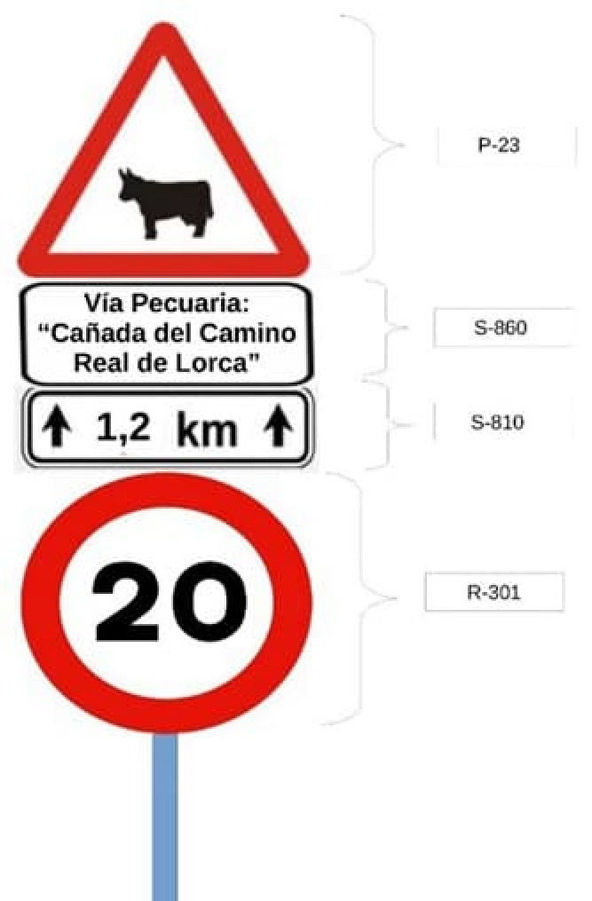 Imagen: /datos/imagenes/disp/2025/203/17134_15996165_1.png