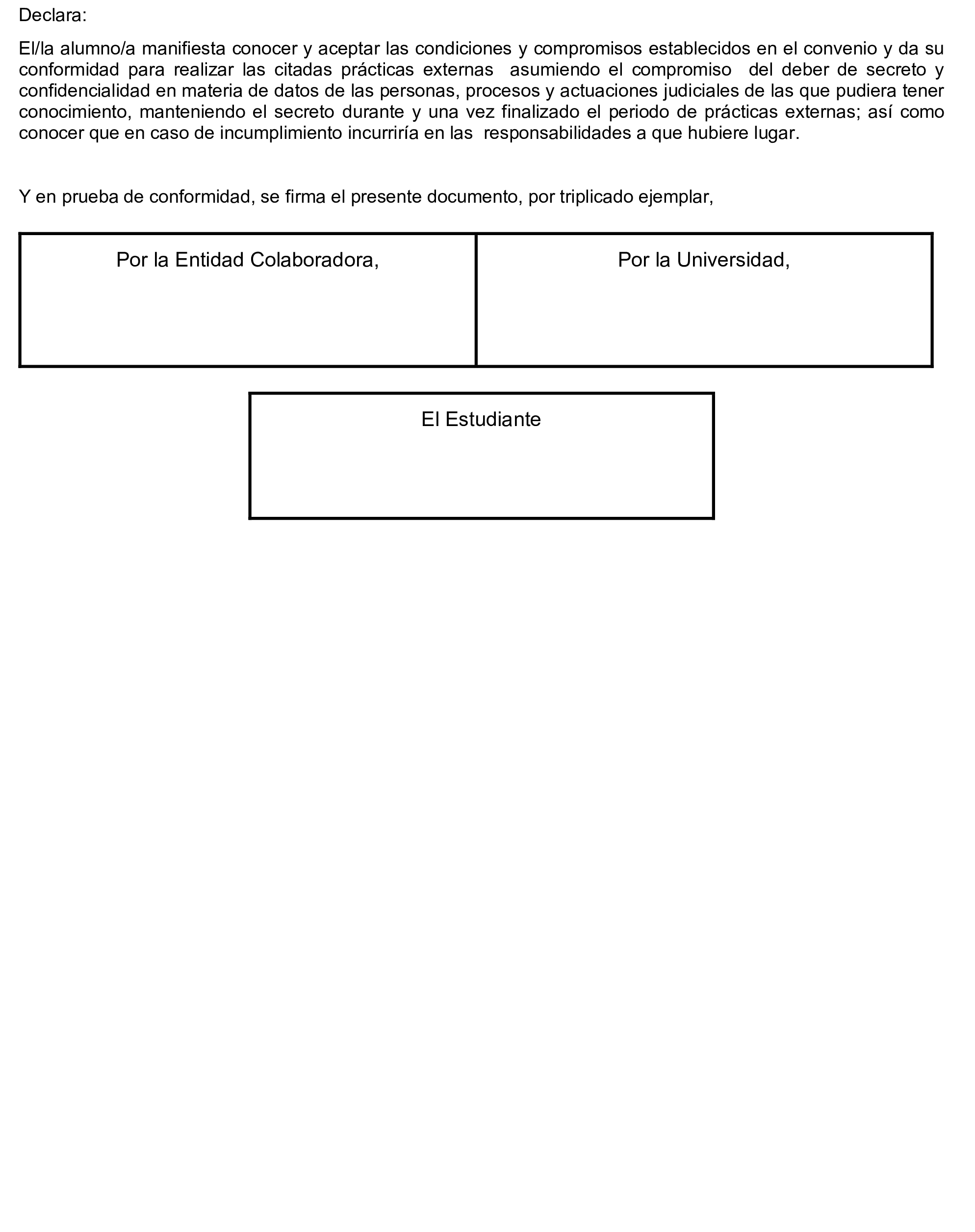 Imagen: /datos/imagenes/disp/2025/21/1293_15243676_2.png