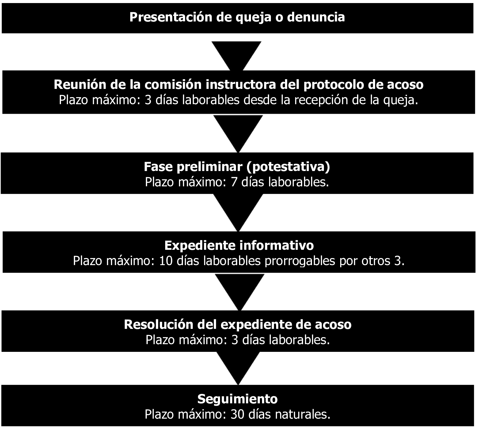 Imagen: /datos/imagenes/disp/2025/222/18279_16062252_1.png