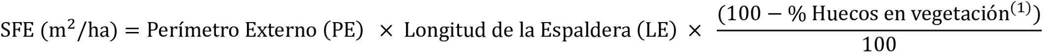 Imagen: /datos/imagenes/disp/2025/228/18714_16093629_1.png