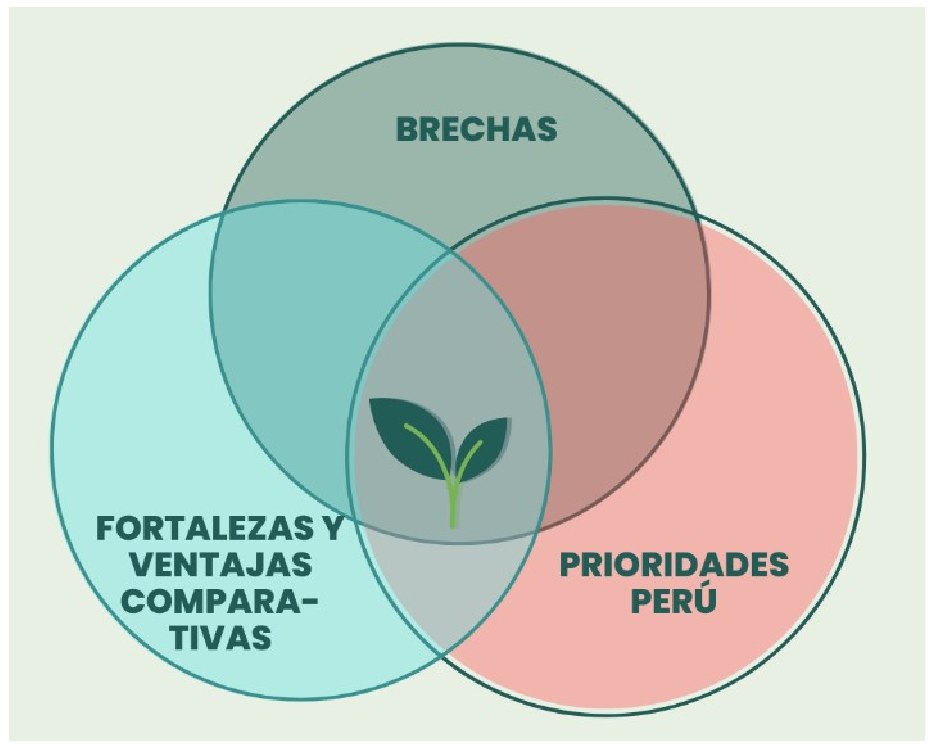 Imagen: /datos/imagenes/disp/2025/48/3713_15361006_1.png