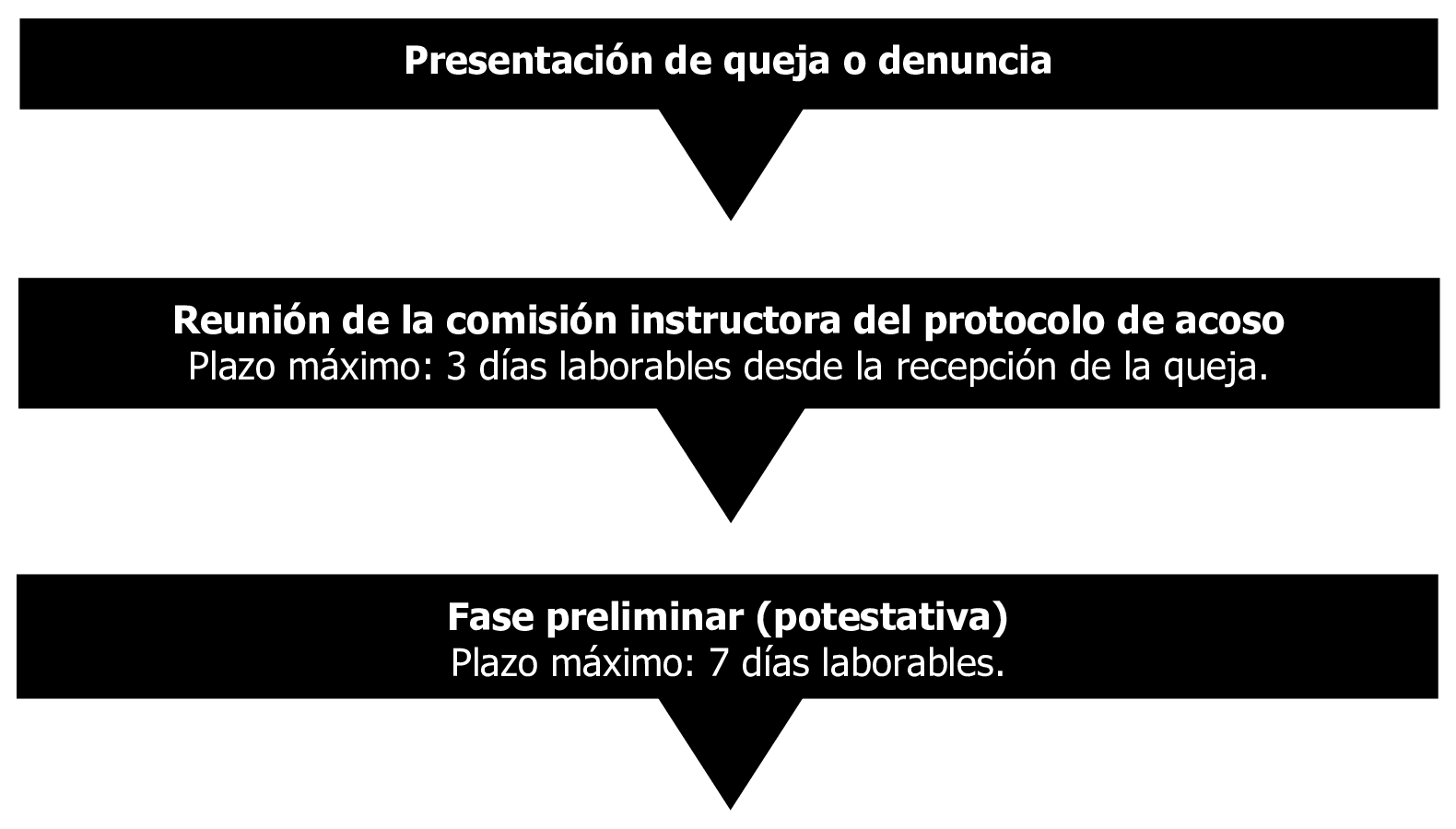 Imagen: /datos/imagenes/disp/2025/61/4888_15411349_1.png