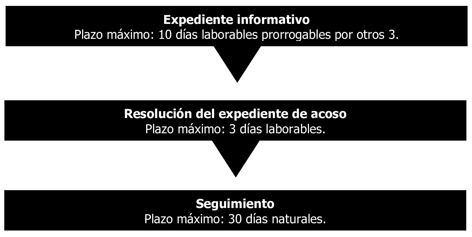 Imagen: /datos/imagenes/disp/2025/61/4888_15411349_2.png