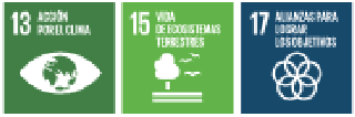 Imagen: /datos/imagenes/disp/2025/63/5046_15361327_1.png